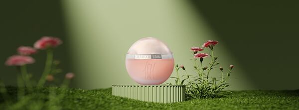 Cerruti Cerruti