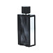 Abercrombie & Fitch First Instinct Blue Eau De Toilette 100 ml (man)