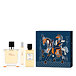 Hermès Terre D'Hermès Parfum 75 ml + Parfum 15 ml + DG Körper und Haar 40 ml M