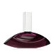 Calvin Klein Euphoria for Women Eau De Parfum 50 ml (woman)