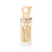 Fragrance World Allure Couture Eau De Parfum 100 ml (woman)