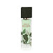 Armaf Infusion Eau De Parfum 80 ml (unisex)