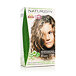 Light Ash Blonde 8.1