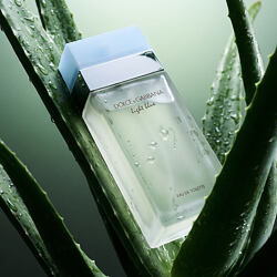 Dolce & Gabbana Light Blue Eau De Toilette 50 ml (woman)
