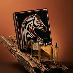 Hermès Terre D'Hermès Parfum 75 ml + Parfum 15 ml + DG Körper und Haar 40 ml M