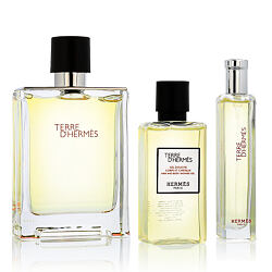 Hermès Terre D'Hermès EDT 100 ml + EDT 15 ml + SG für Haut und Haar 40 ml (man)