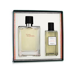 Hermès Terre D'Hermès EDT 100 ml + SG 80 ml (man)