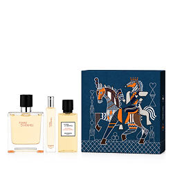 Hermès Terre D'Hermès Parfum 75 ml + Parfum 15 ml + DG Körper und Haar 40 ml M