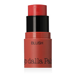 Diego Dalla Palma All In One Blush (N.43 Rosa)