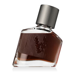 Bruno Banani Magnetic Man Eau De Toilette 30 ml (man)