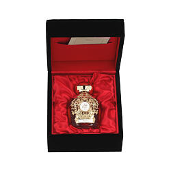 Tiziana Terenzi Adhil Assoluto Extrait de Parfum 100 ml (unisex)
