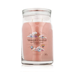 Yankee Candle Duftkerze Praline & Birch 567 g