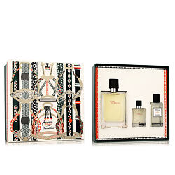 Hermès Terre D'Hermès EDT 100 ml + EDT 12,5 ml + AS 40 ml (man)