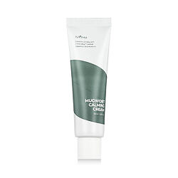 Isntree Mugwort Calming Cream 50 ml