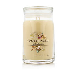 Yankee Candle Duftkerze Praline & Birch 567 g