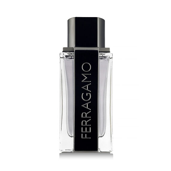 Ferragamo Ferragamo Eau De Toilette 100 ml (man)