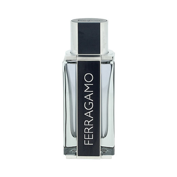 Salvatore Ferragamo Ferragamo Eau De Toilette 100 ml (man)
