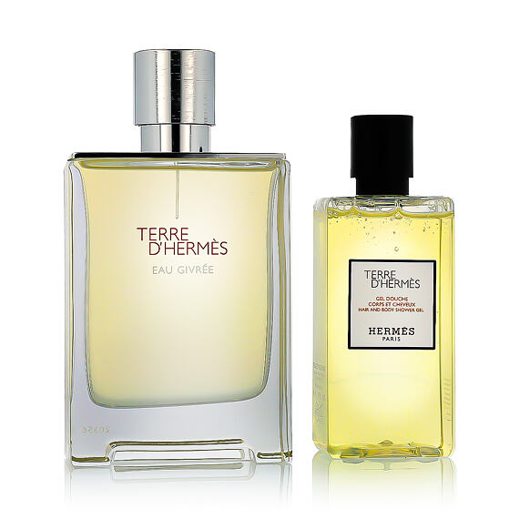 Hermès Terre D'Hermès Eau Givrée EDP nachfüllbar 100 ml + SG für Haut und Haar 80 ml (man)