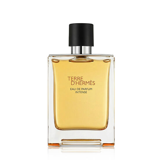 Hermès Terre d’Hermès Intense Eau De Parfum Intense - nachfüllbar 100 ml (man)