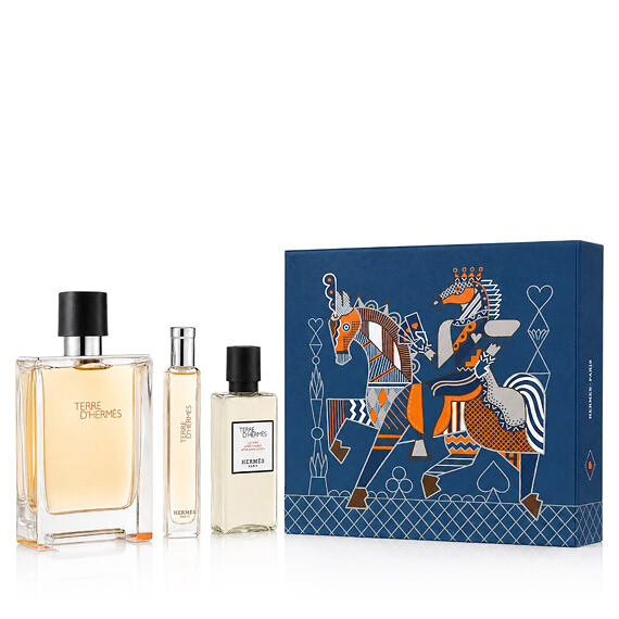 Hermès Terre D'Hermès EDT 100 ml + EDT 15 ml + SG für Haut und Haar 40 ml (man)