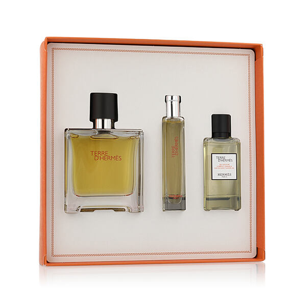 Hermès Terre D'Hermès EDT 100 ml + EDT 15 ml + SG für Haut und Haar 40 ml (man)