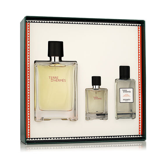 Hermès Terre D'Hermès EDT 100 ml + EDT 12,5 ml + AS 40 ml (man)