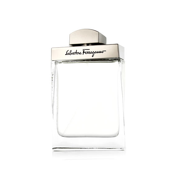 Salvatore Ferragamo Pour Homme Eau De Toilette 100 ml (man)