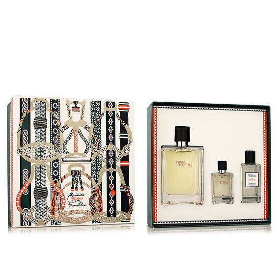 Hermès Terre D'Hermès EDT 100 ml + EDT 12,5 ml + AS 40 ml (man)