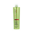 Inebrya Ice Cream Energy Shampoo 300 ml