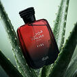 Rasasi Hawas Fire Eau De Parfum 100 ml (man)