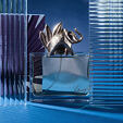 Kenzo Jungle L Elephant Eau De Parfum 100 ml (woman)