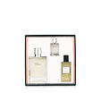 Hermès Terre D'Hermès Eau Givrée EDP nachfüllbar 100 ml + EDP MINI 12,5 ml + SG 80 ml (man)