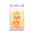 Yankee Candle Duftkerze Praline &amp; Birch 567 g - Mango Ice Cream