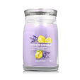 Yankee Candle Duftkerze Praline &amp; Birch 567 g - Lemon Lavender