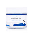 ROUND LAB Birch Juice Moisturizing Cream 80 ml