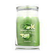 Yankee Candle Duftkerze Praline & Birch 567 g - Vanilla Lime
