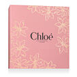 Chloé Chloé L'Eau de Parfum Intense EDP Intense 50 ml + BL 100 ml (woman) - Rose Cover With Gold Flowers