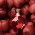 Afnan Turathi Femme Red Eau De Parfum 90 ml (woman)