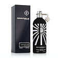 Montale Paris Fantastic Oud Eau De Parfum 100 ml (unisex)