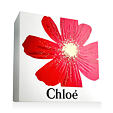 Chloé Intense EDP Intense 50 ml + BL 100 ml (woman)